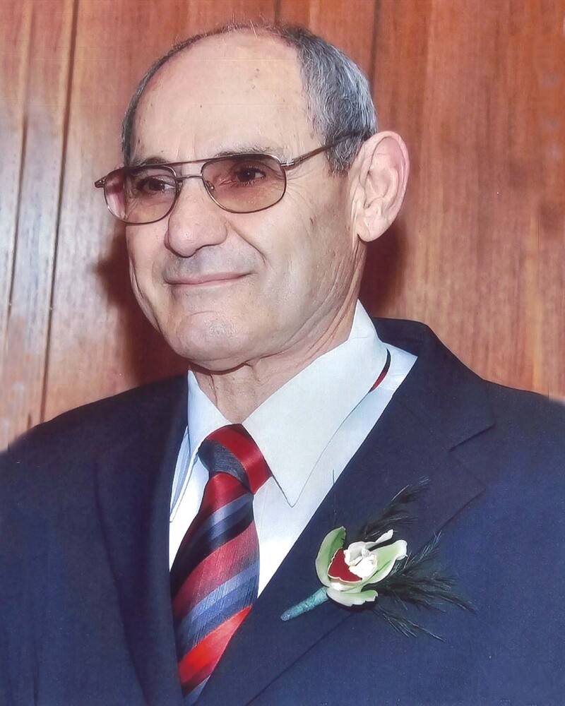  ΔΗΜΗΤΡΙΟΣ ΗΡΟΔΟΤΟΥ