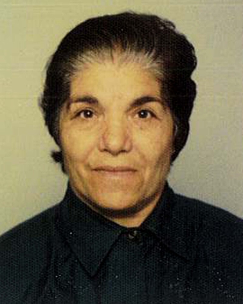  ΤΡΟΟΔΙΑ ΗΡΟΔΟΤΟΥ ( ΚΑΤΣΟΥΡΗ )